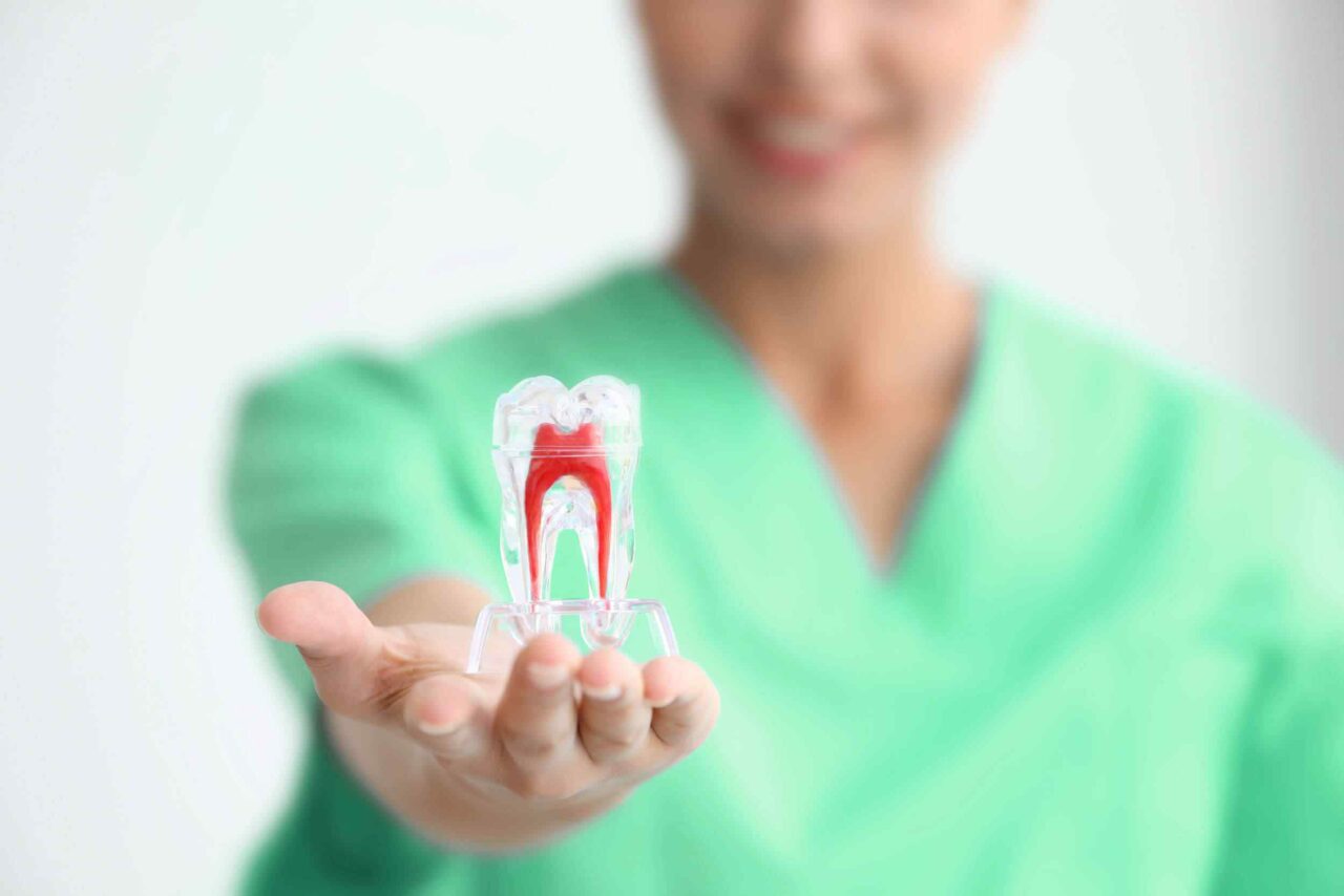 https://dentaltourisminalbania.uk/wp-content/uploads/2020/01/post-14-1280x854.jpg